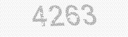 Visual security code — type the characters shown in the image