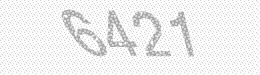 Visual security code — type the characters shown in the image