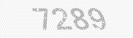 Visual security code — type the characters shown in the image