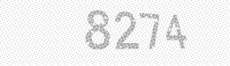 Visual security code — type the characters shown in the image
